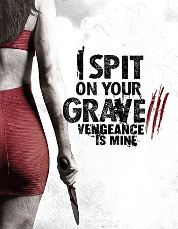 I Spit on Your Grave 3 (2015) (Hindi + English) Dual Audio Hollywood Movie BluRay HD ESub