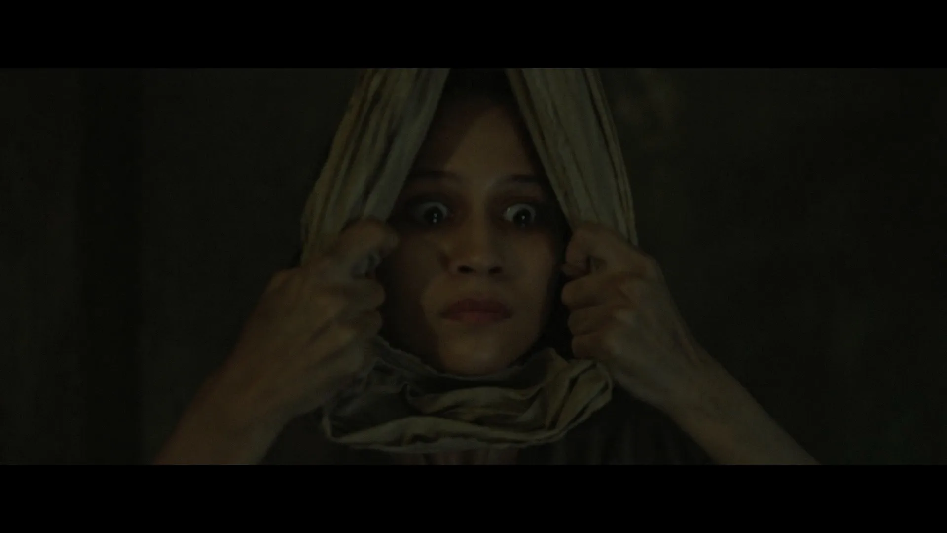 Cerita Lila 2026 Hindi Dual Audio screenshot 4