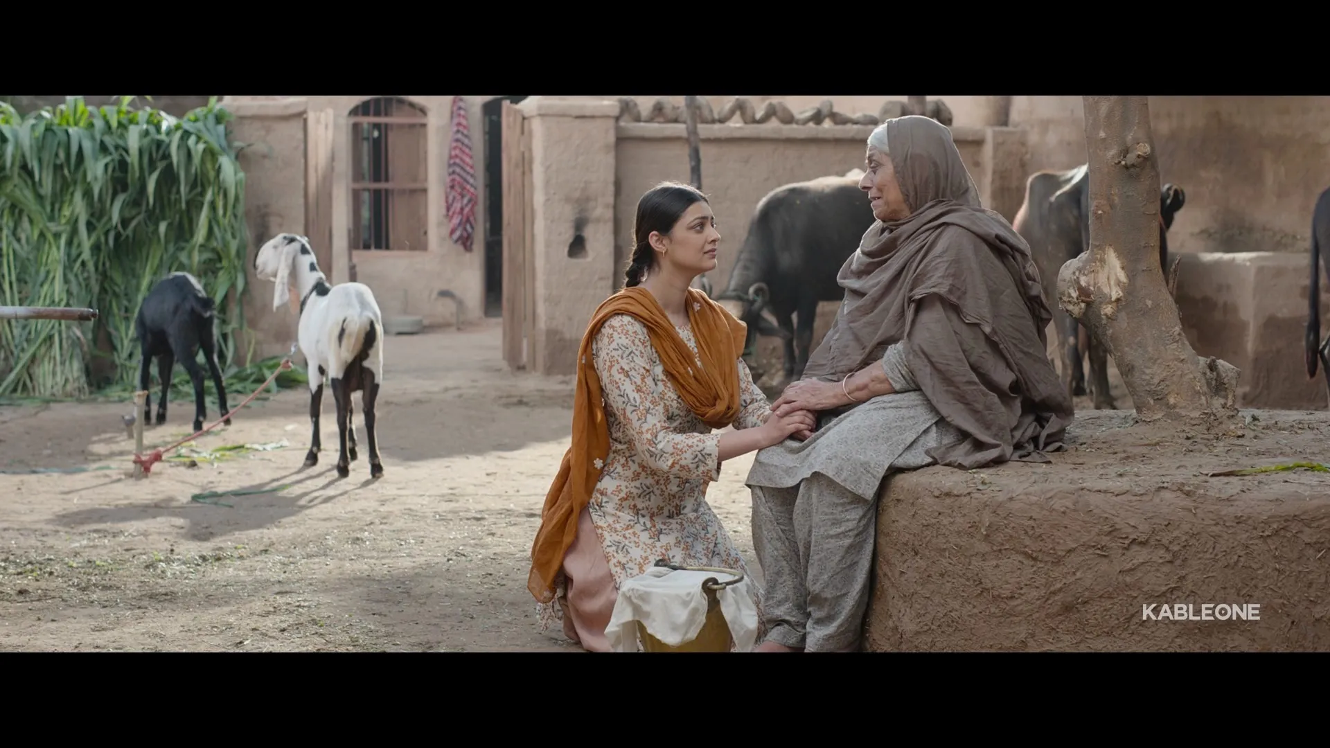 Screenshot 1 - Chaali Din 2026 Punjabi Dual Audio