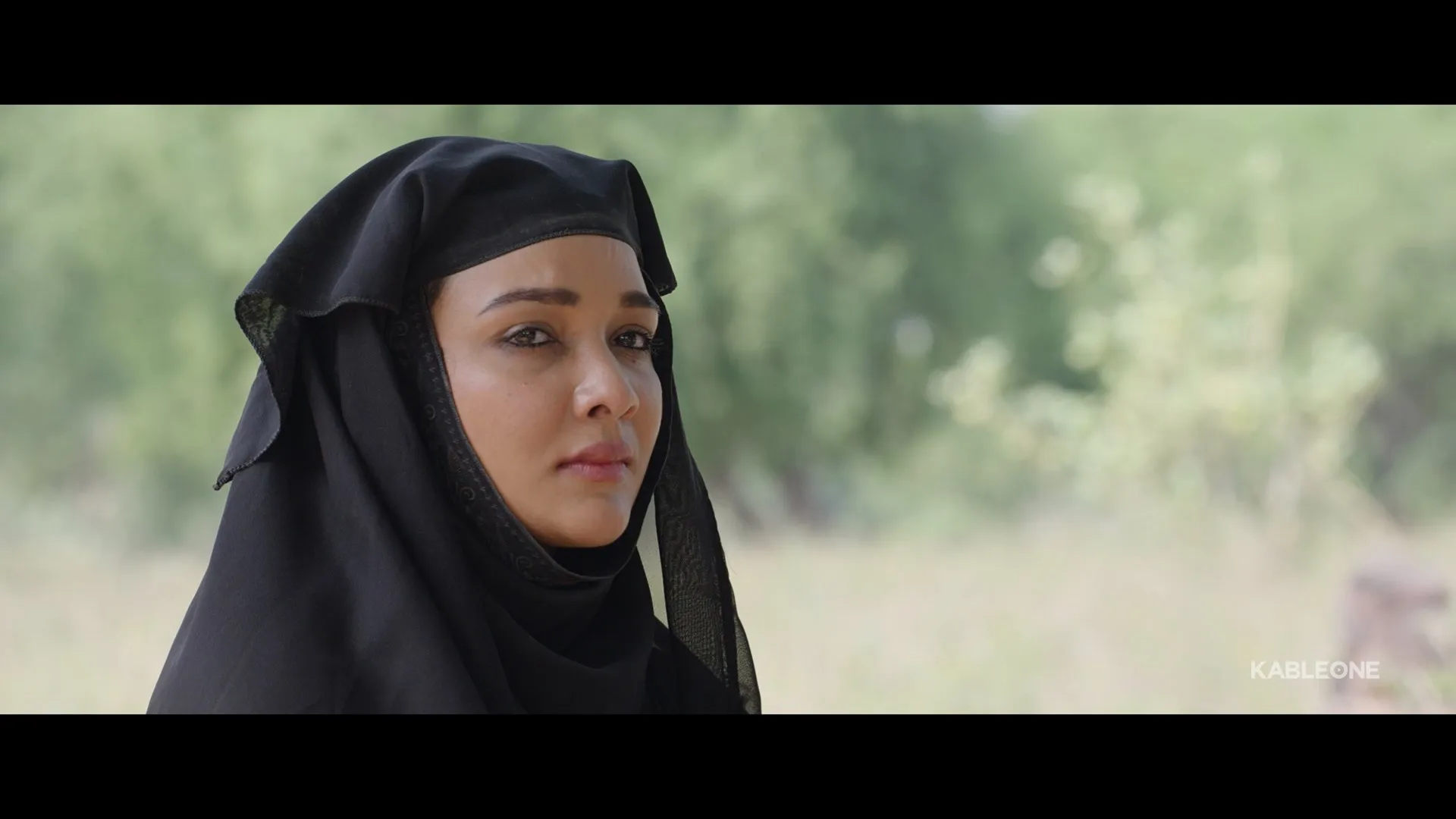 Screenshot 4 - Chaali Din 2026 Punjabi Dual Audio