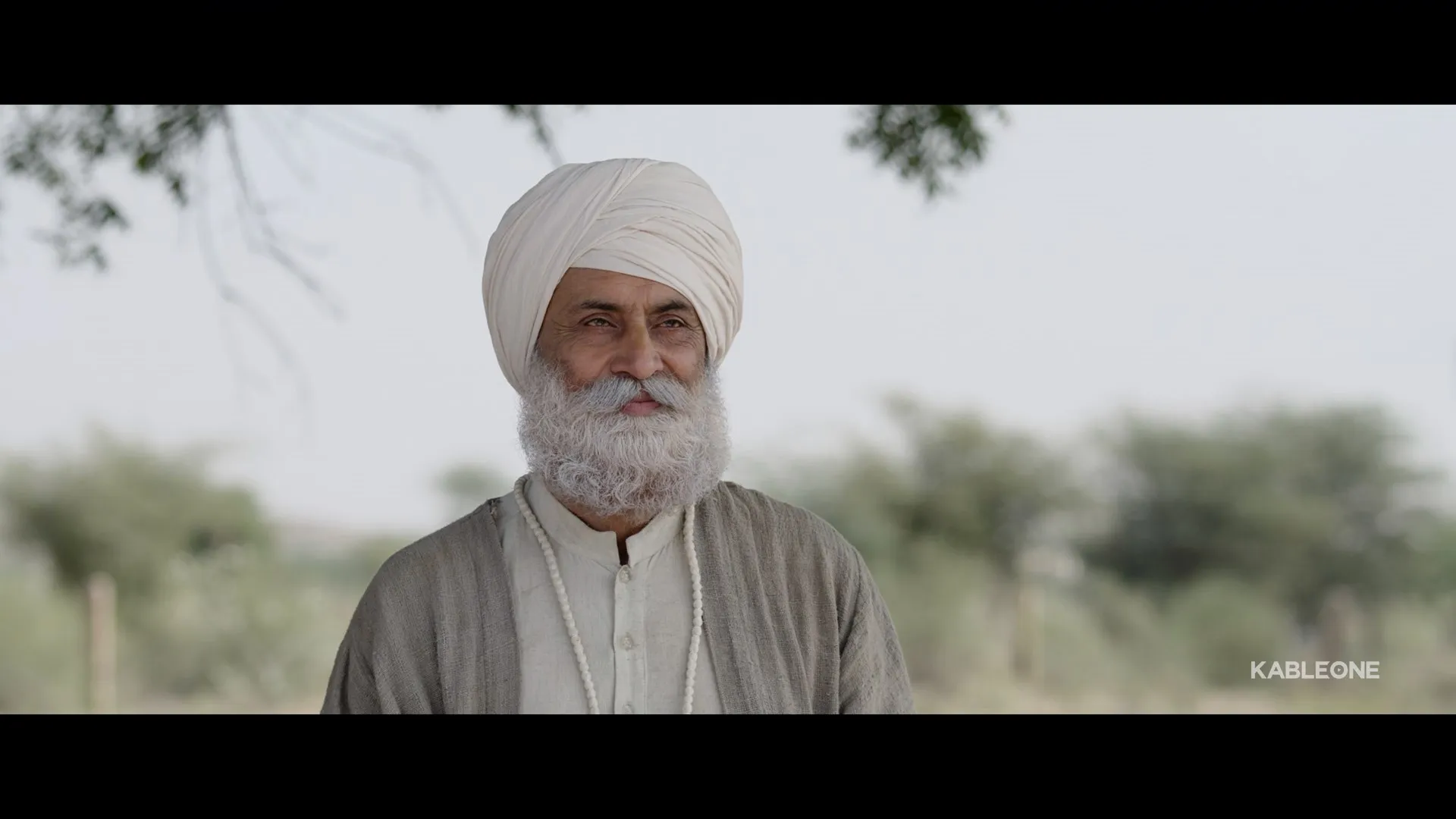 Screenshot 5 - Chaali Din 2026 Punjabi Dual Audio