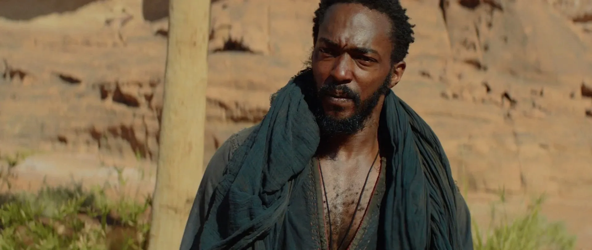 Screenshot 2 - Desert Warrior 2026 Hindi - English Dual Audio