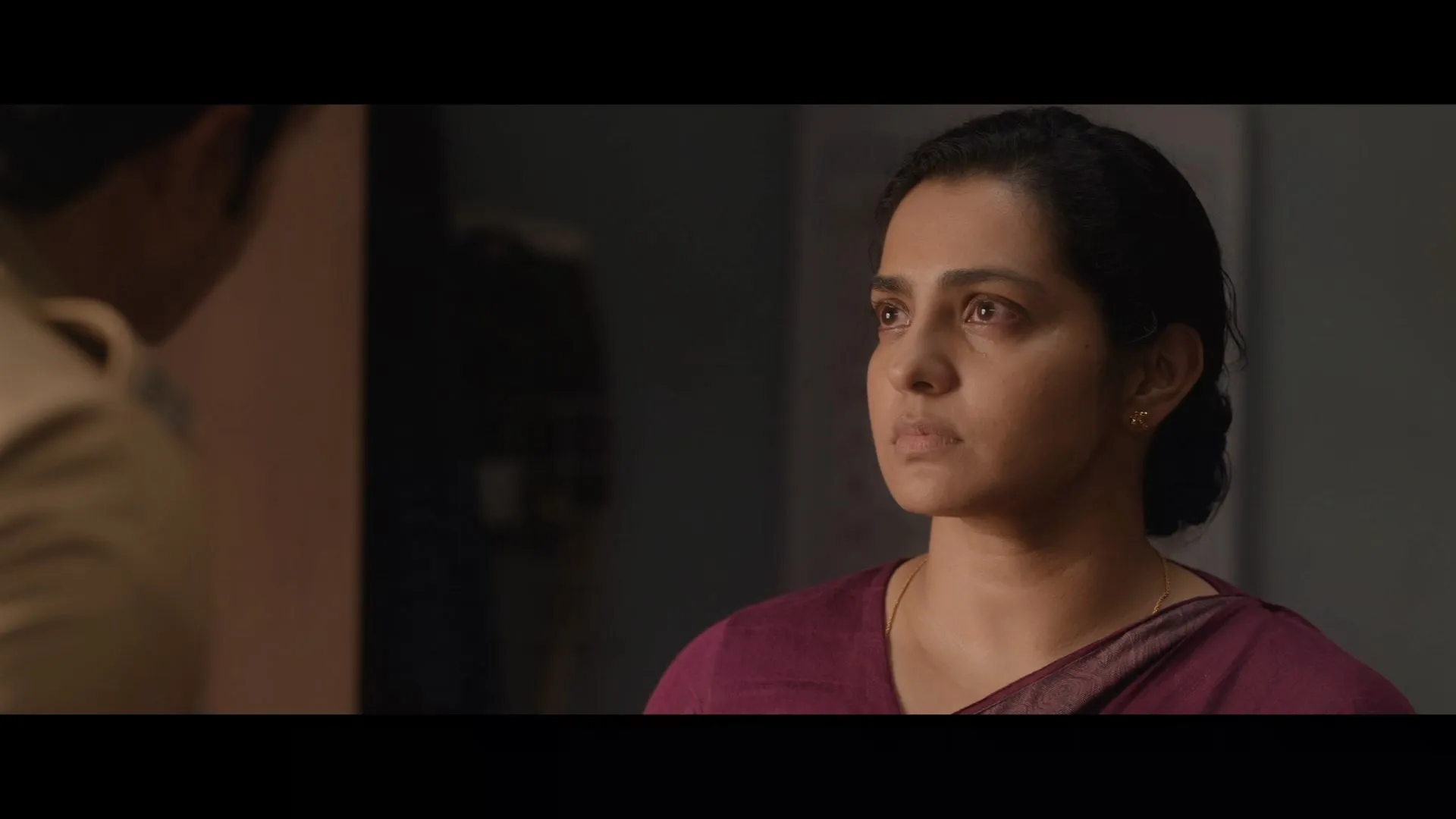 Screenshot 3 - I, Nobody 2026 Hindi - Malayalam Dual Audio