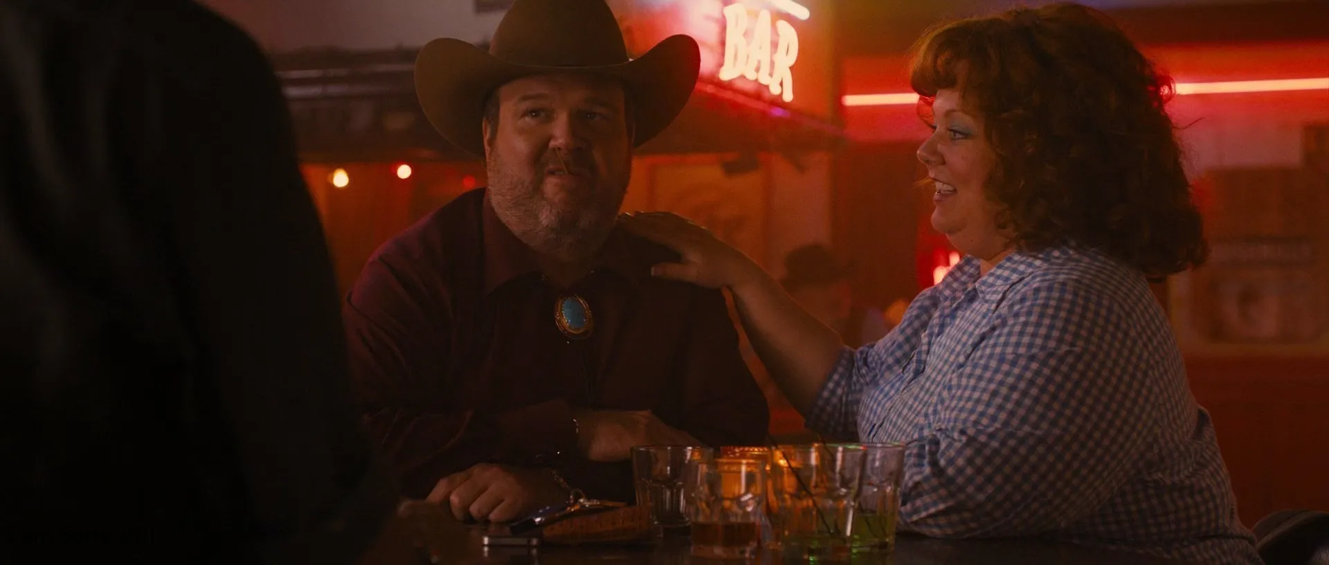 Screenshot 3 - Identity Thief 2013 Hindi - English Dual Audio
