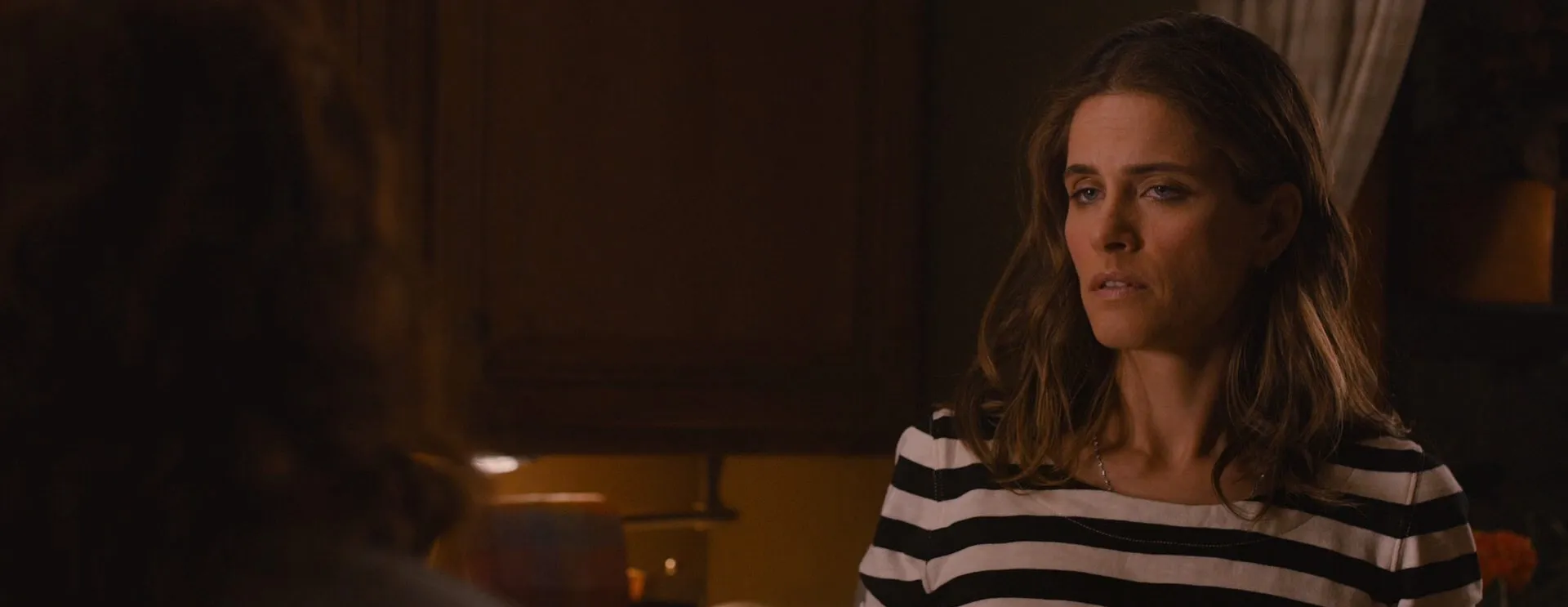 Screenshot 5 - Identity Thief 2013 Hindi - English Dual Audio