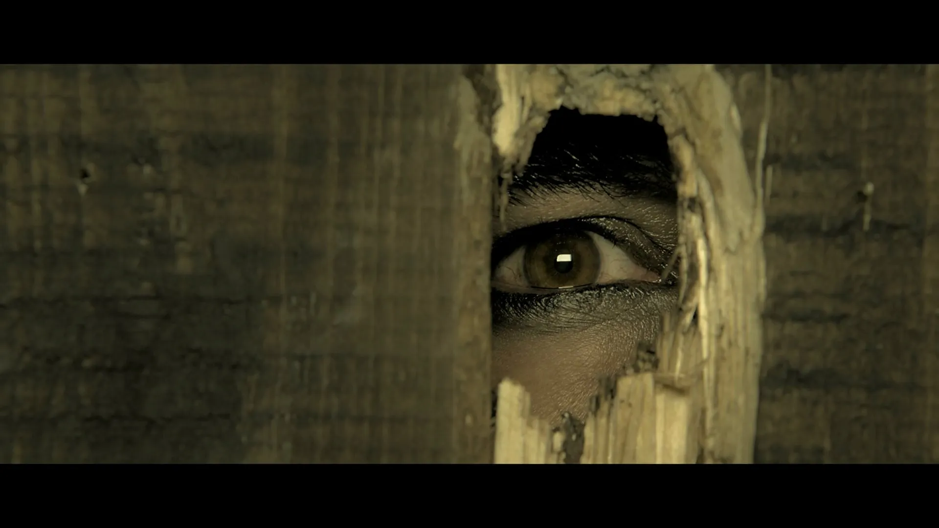 Screenshot 3 - Kesari 2019 Hindi Dual Audio