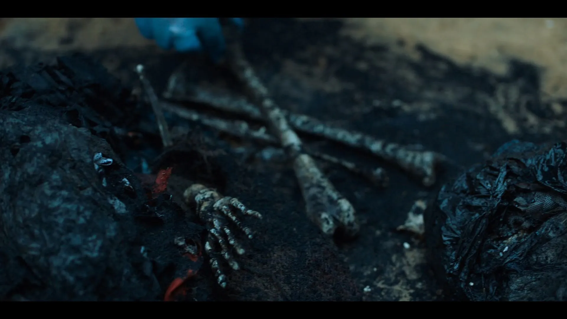 Screenshot 5 - Sector 36 2024 Hindi Dual Audio