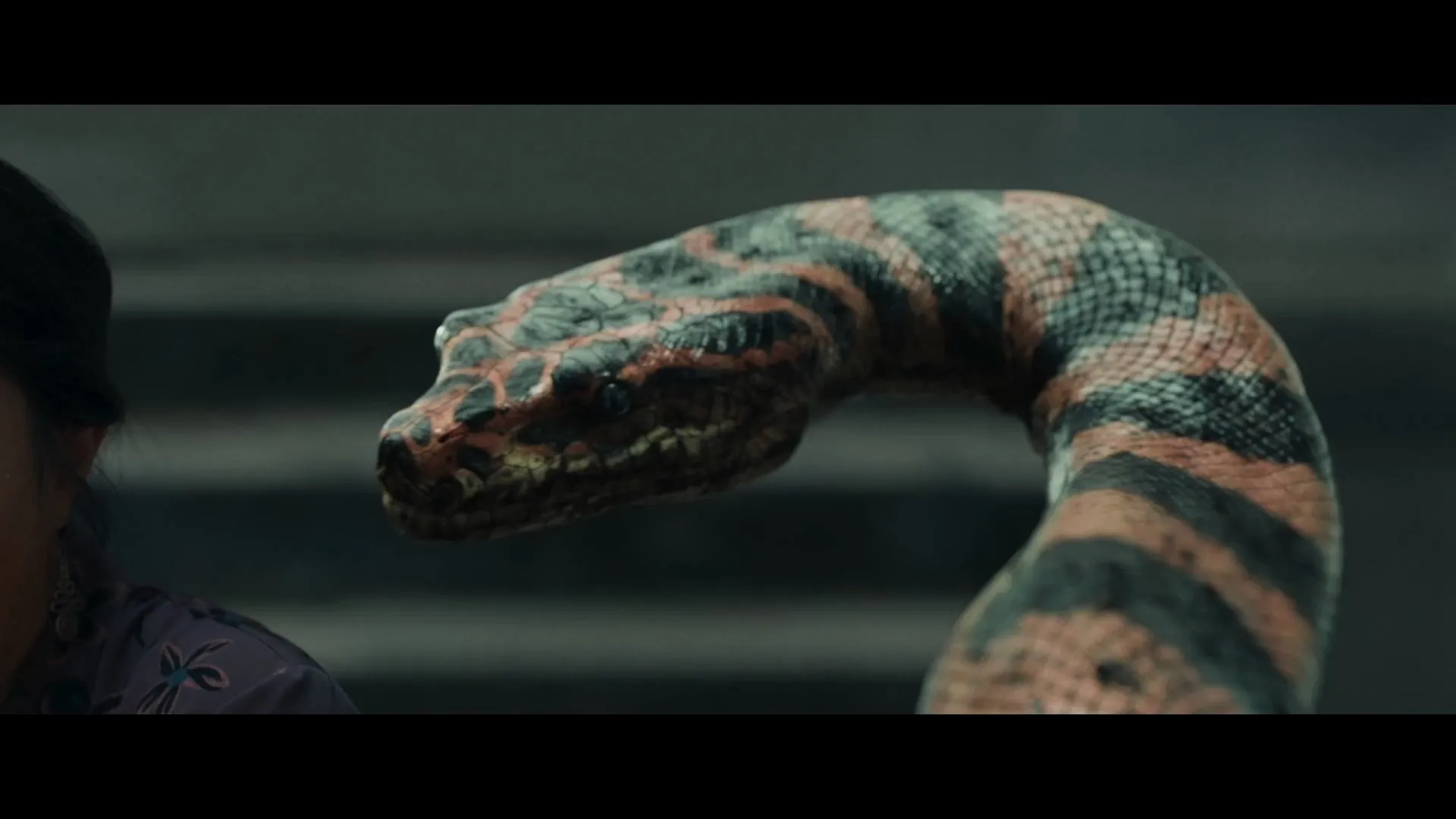 Screenshot 1 - Snake Woman 2025 Hindi Dual Audio