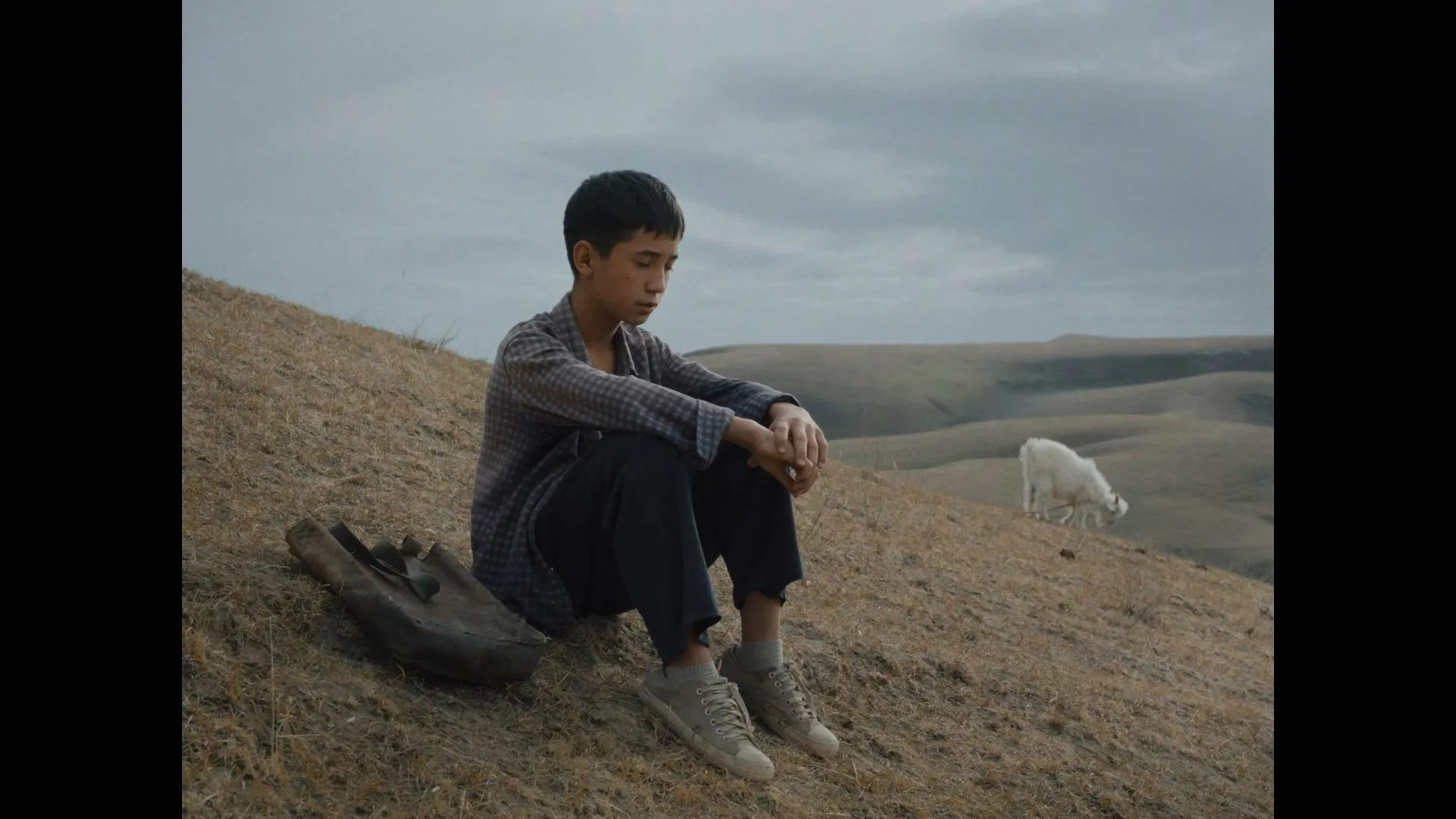 Screenshot 2 - The Botanist 2026 Hindi - Kazakh Audio