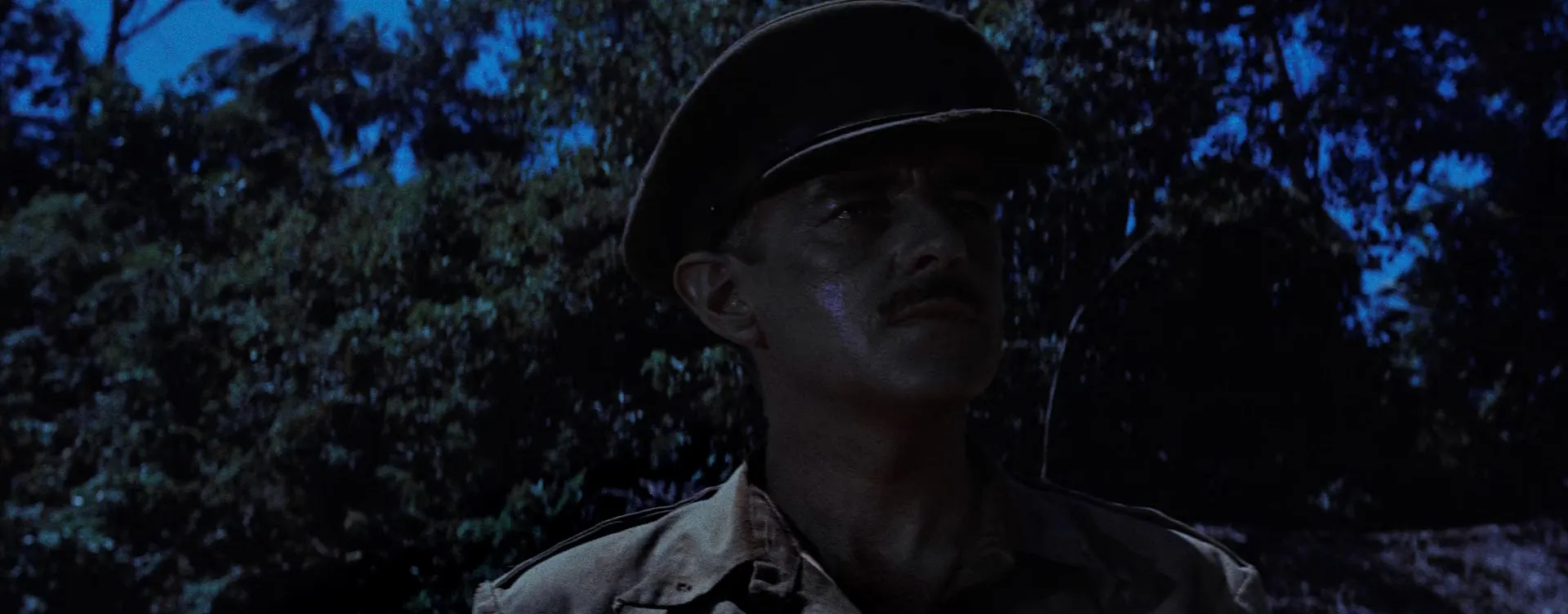 Screenshot 3 - The Bridge on the River Kwai 1957 Hindi - English Dual Audio