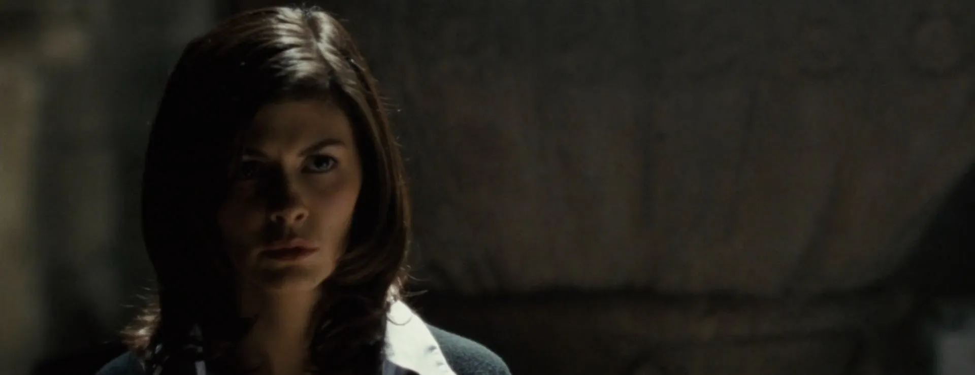Screenshot 5 - The Da Vinci Code 2006 Hindi Dual Audio