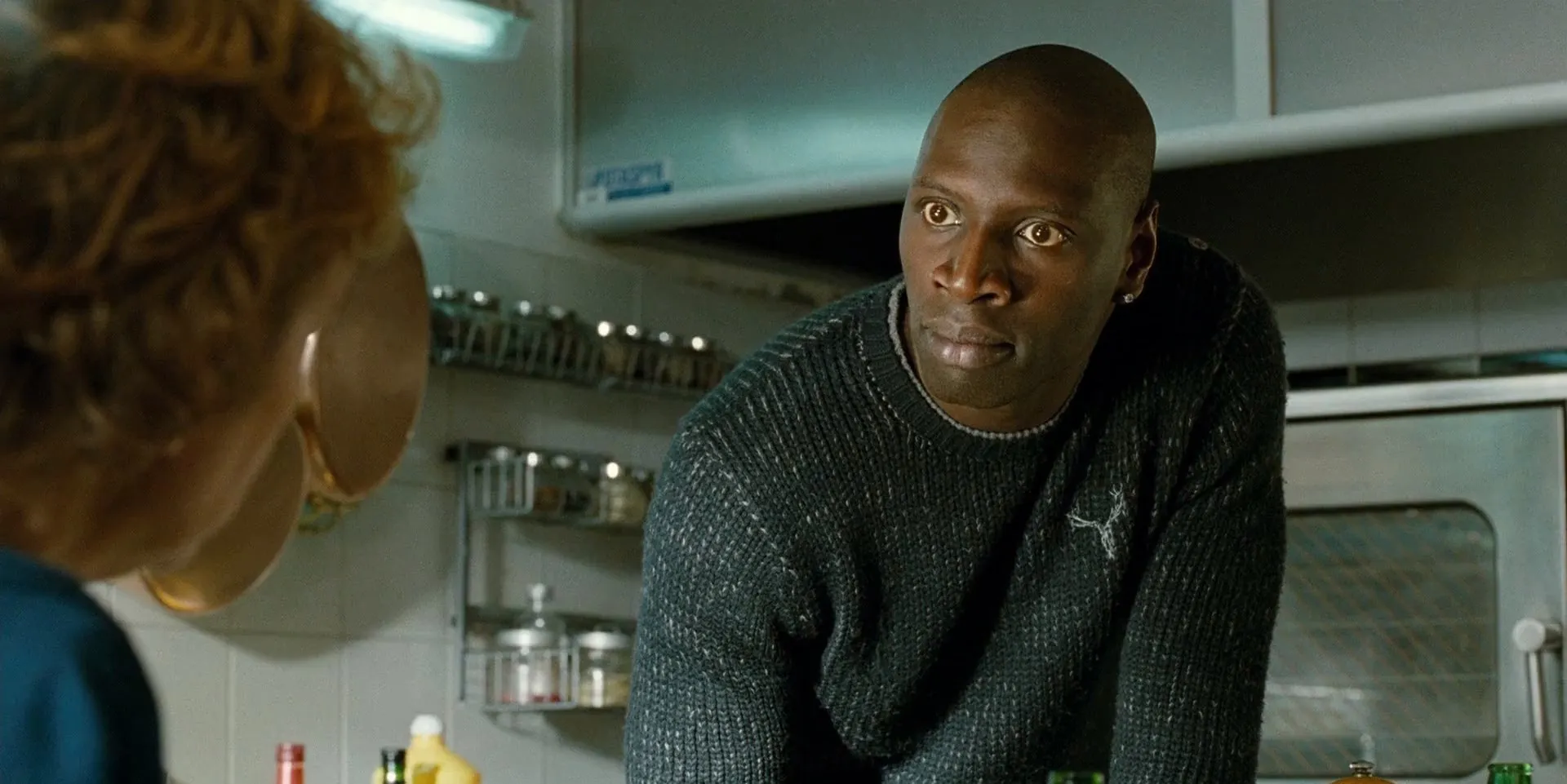 Screenshot 1 - The Intouchables 2011 Hindi - English Dual Audio