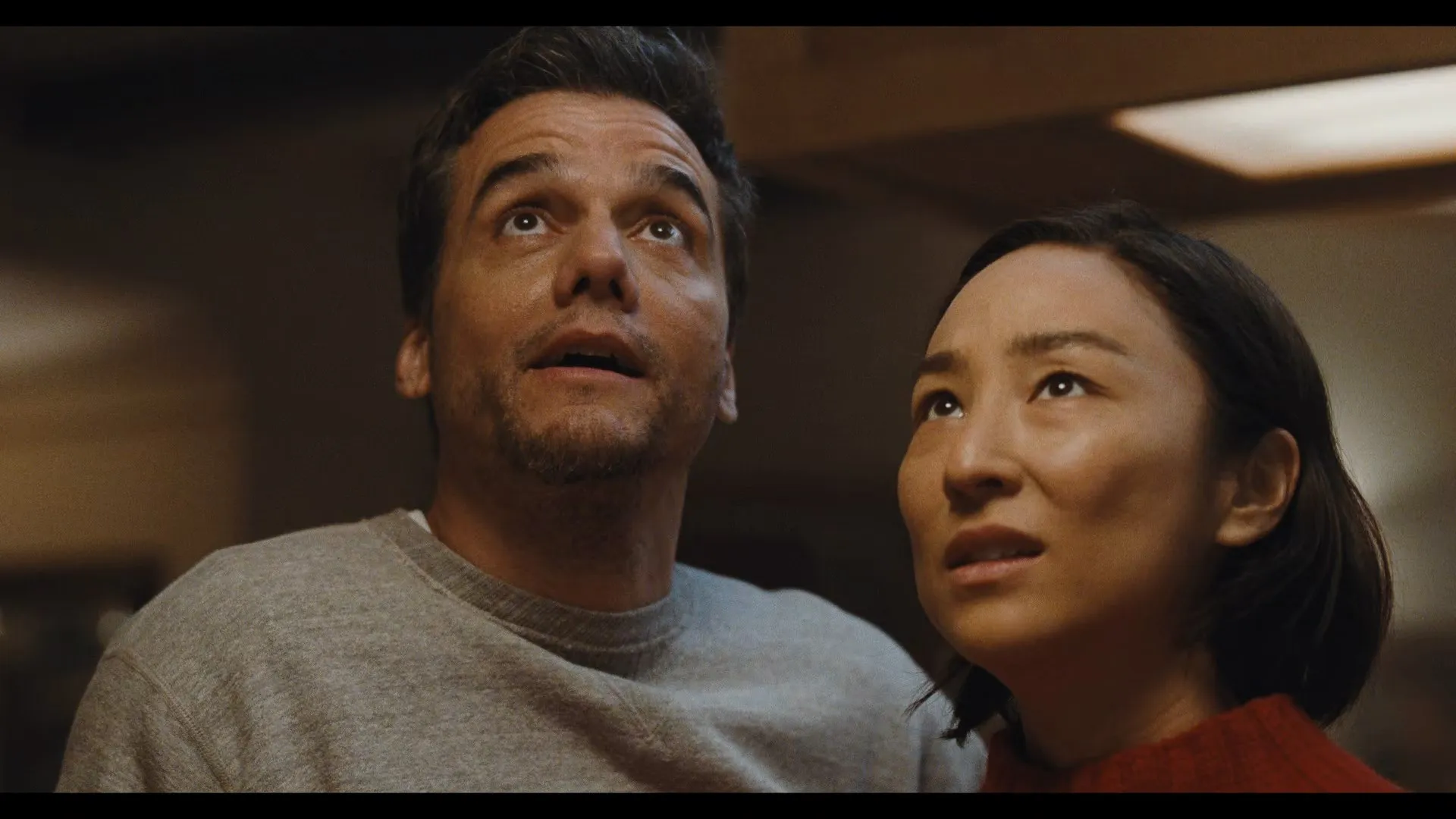 Screenshot 2 - The Last House 2026 Hindi - English Dual Audio