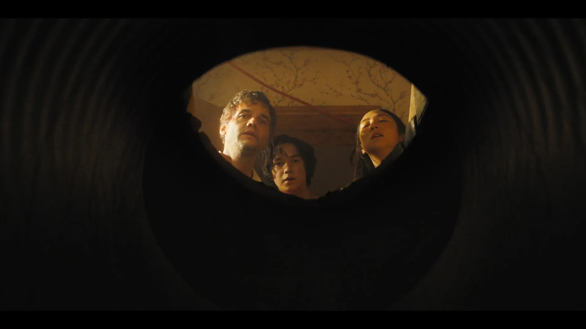 Screenshot 4 - The Last House 2026 Hindi - English Dual Audio