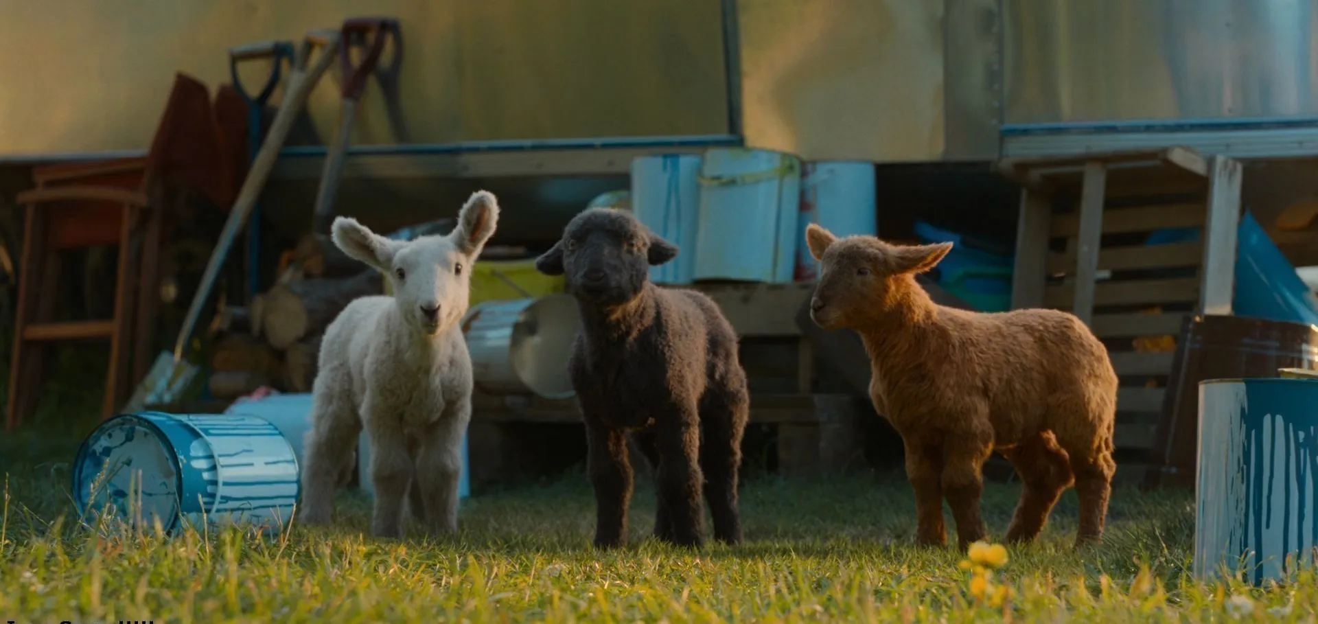 Screenshot 1 - The Sheep Detectives 2026 Hindi - English Dual Audio