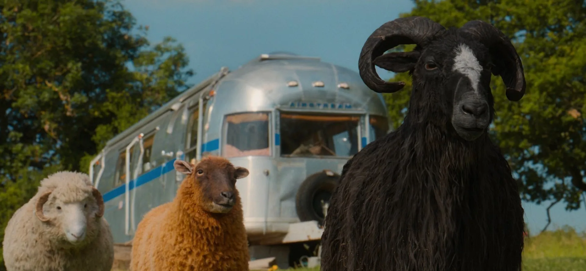 Screenshot 3 - The Sheep Detectives 2026 Hindi - English Dual Audio