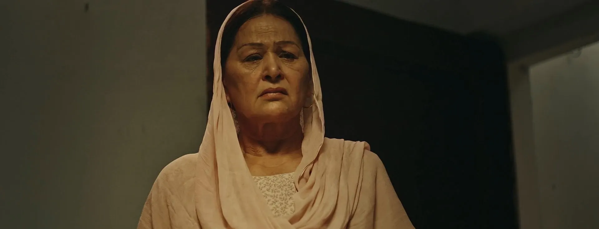 Screenshot 3 - Vajood 2023 Punjabi Dual Audio