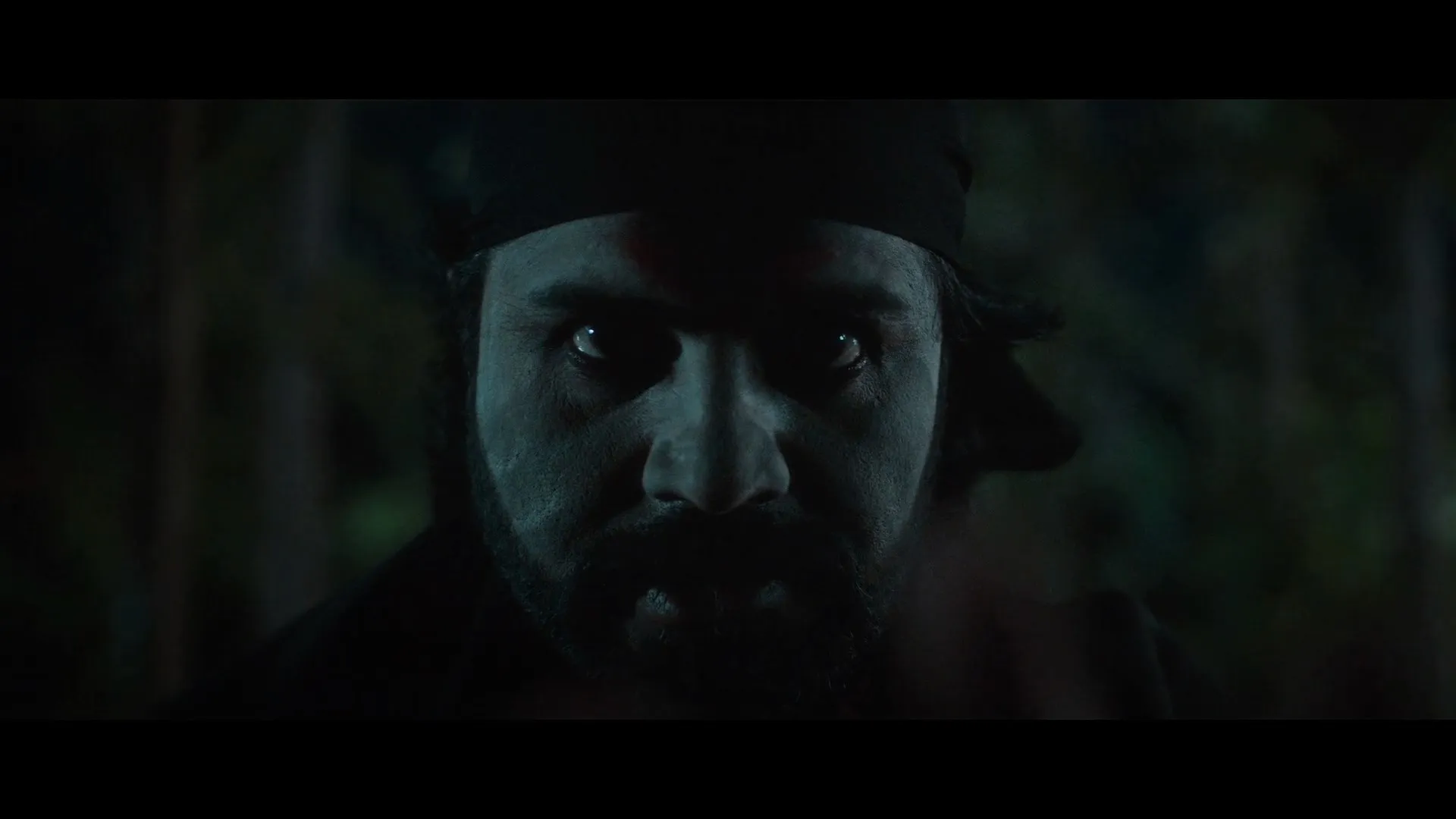 Screenshot 2 - Vishwaguru 2025 Hindi Dual Audio