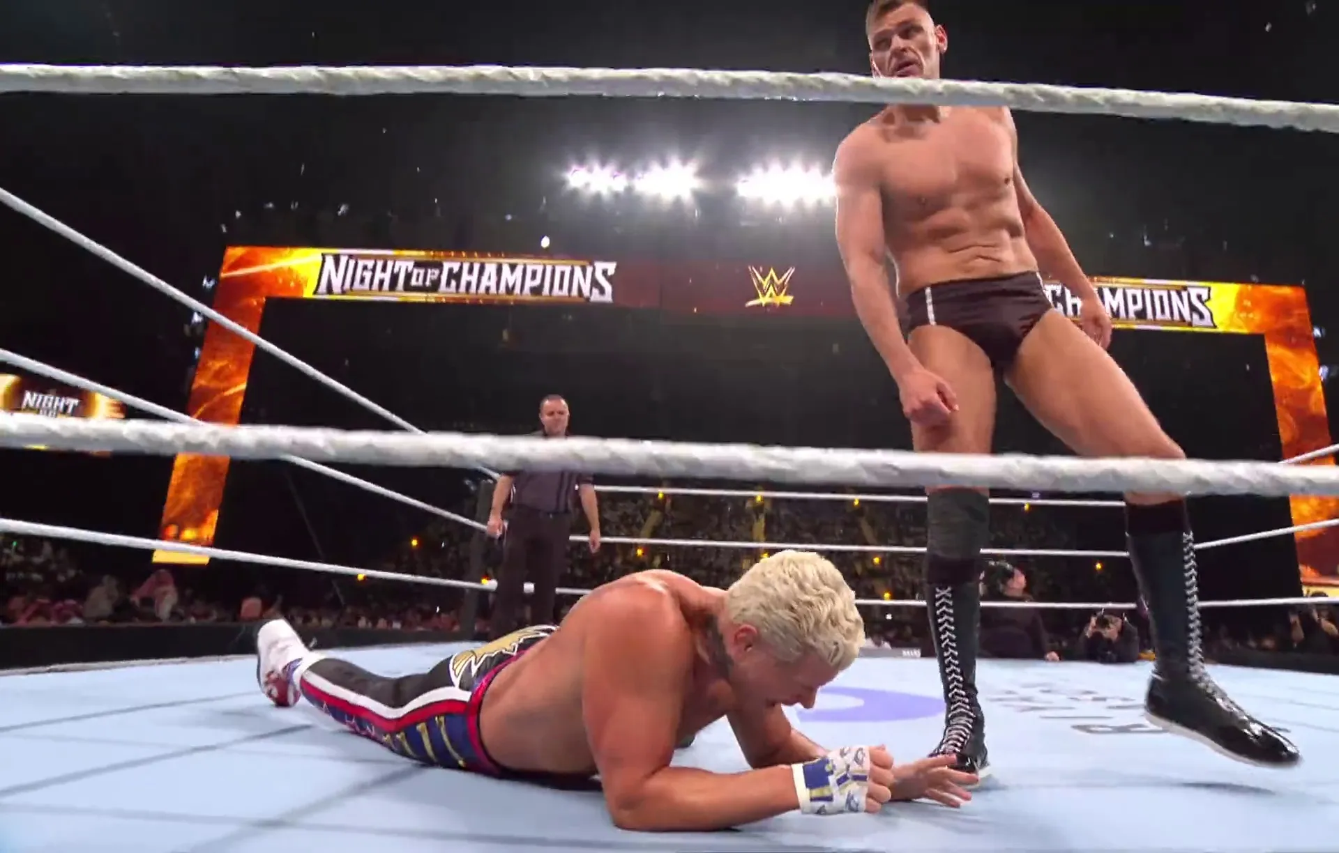 Screenshot 3 - WWE Night of Champions 2026 Hindi - English Audio