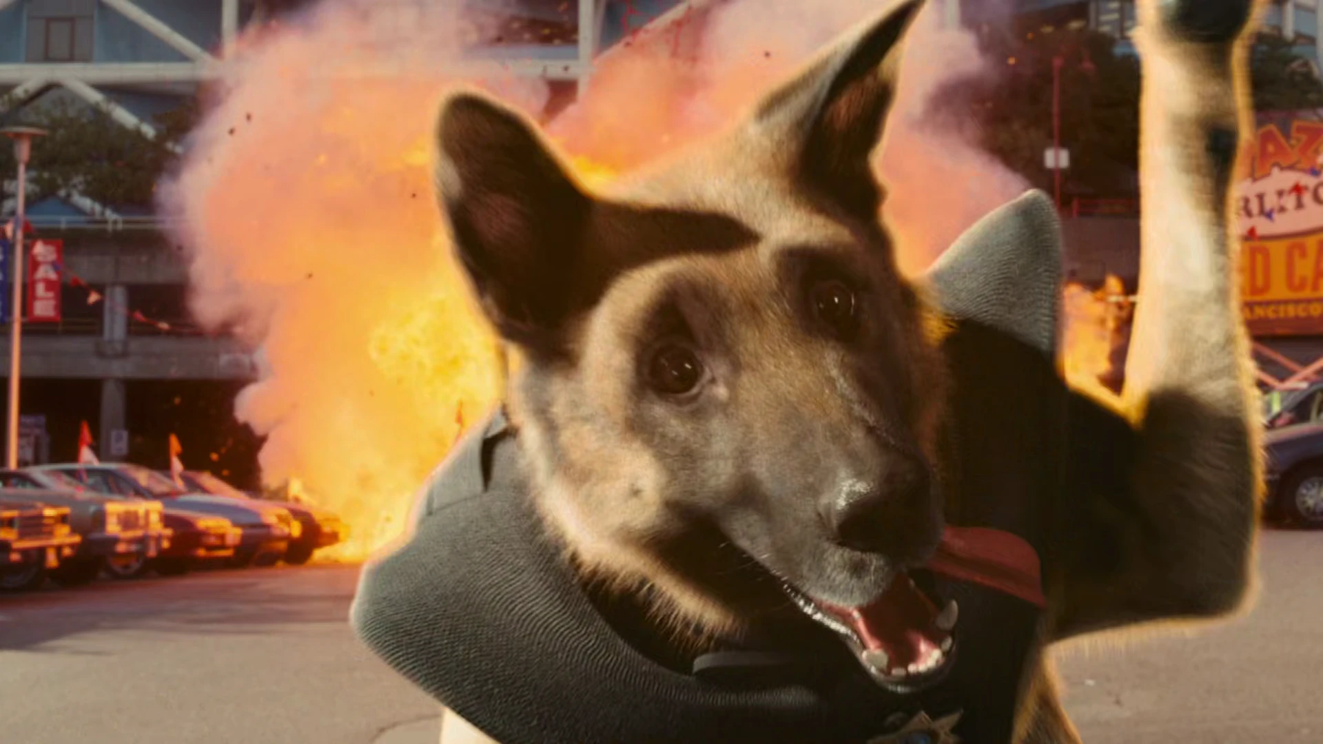 Screenshot 1 - Cats & Dogs: The Revenge of Kitty Galore 2010 Hindi Dual Audio