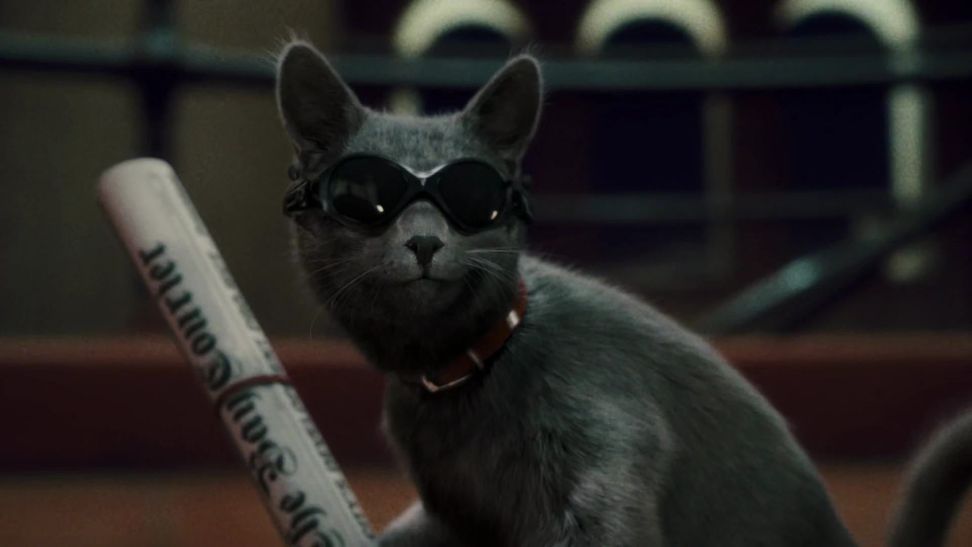 Screenshot 5 - Cats & Dogs: The Revenge of Kitty Galore 2010 Hindi Dual Audio