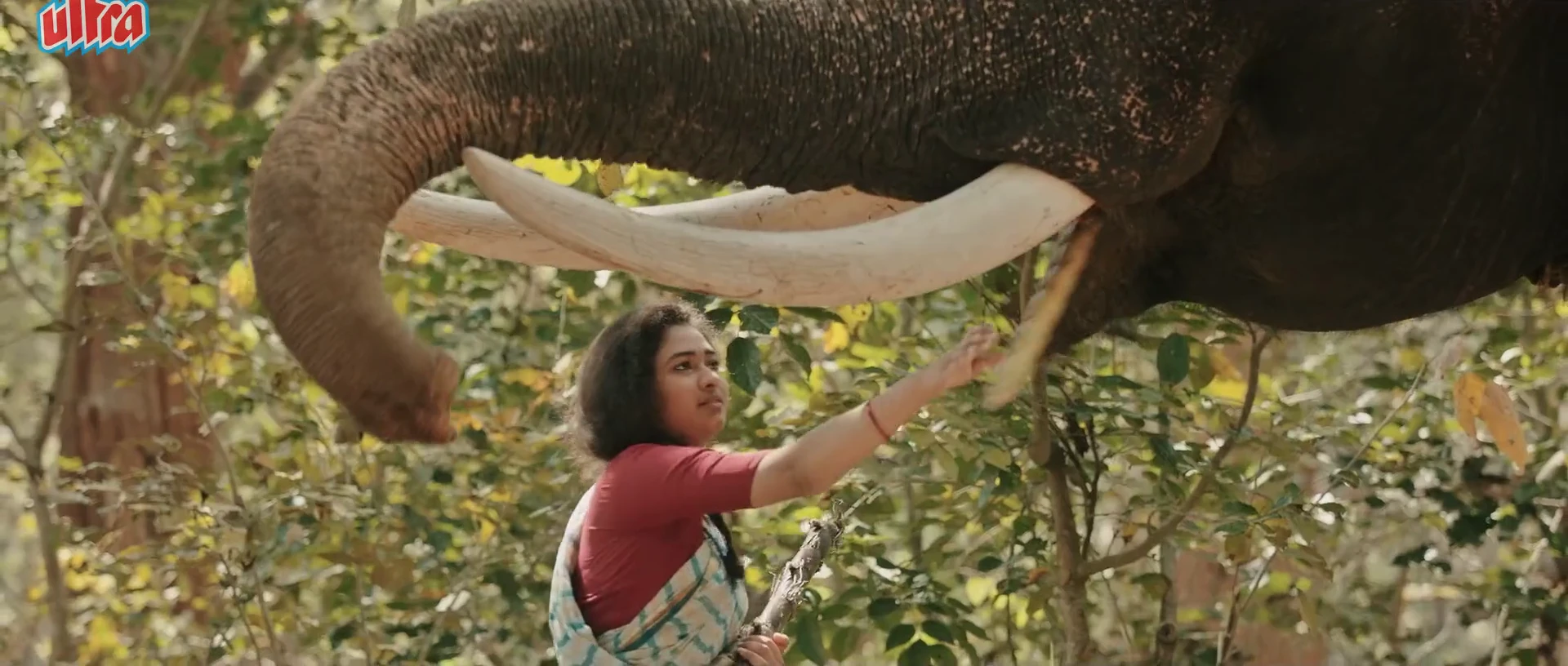 Screenshot 3 - Mavuta 2026 Hindi Audio