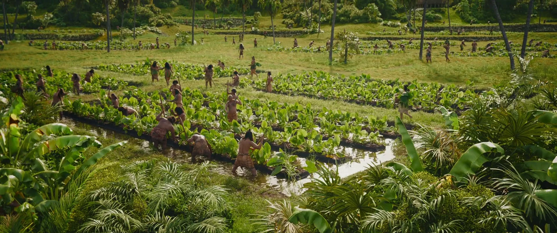 Moana 2026 Hindi Dual Audio screenshot 1