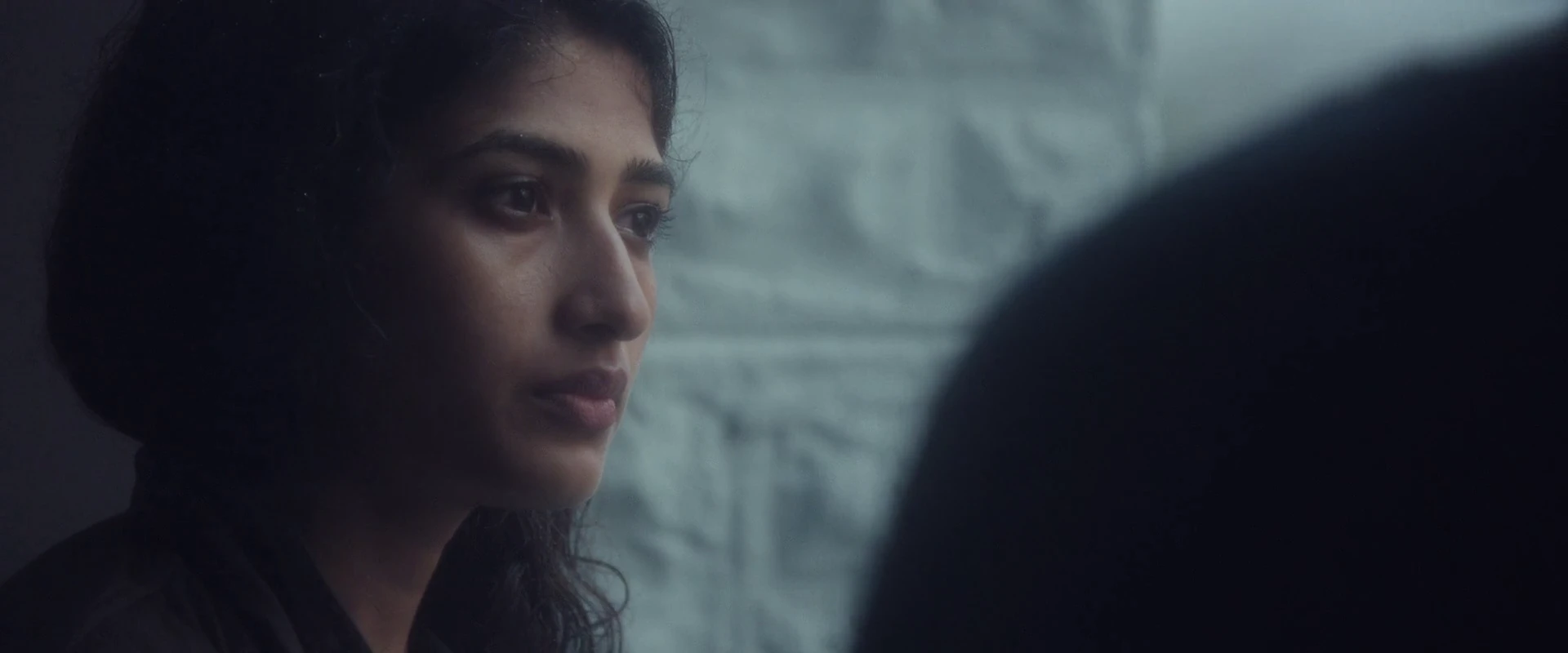 Murphy 2024 Hindi Dual Audio screenshot 7