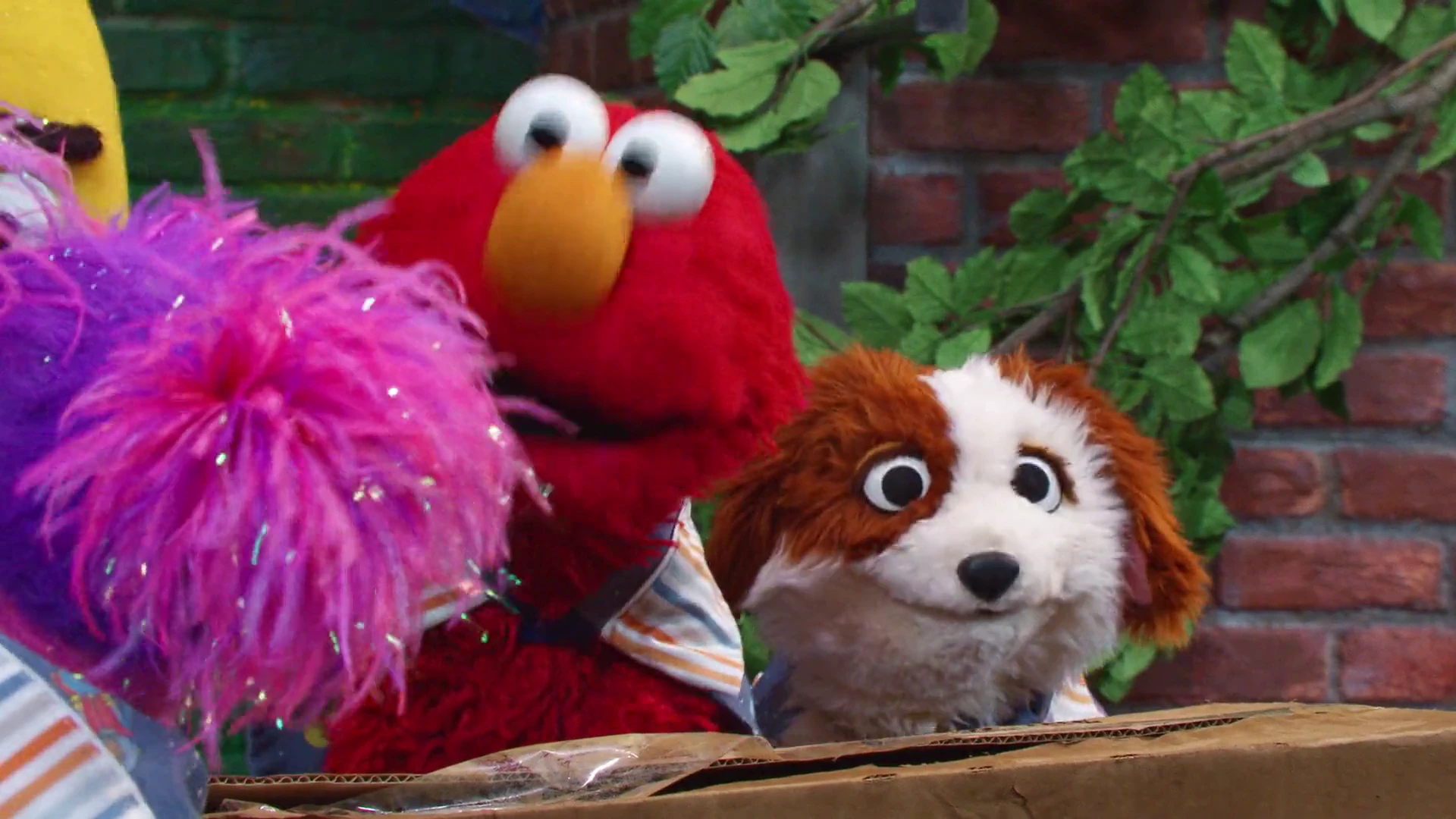 Screenshot 6 - Storm on Sesame Street 2026 Hindi Dual Audio