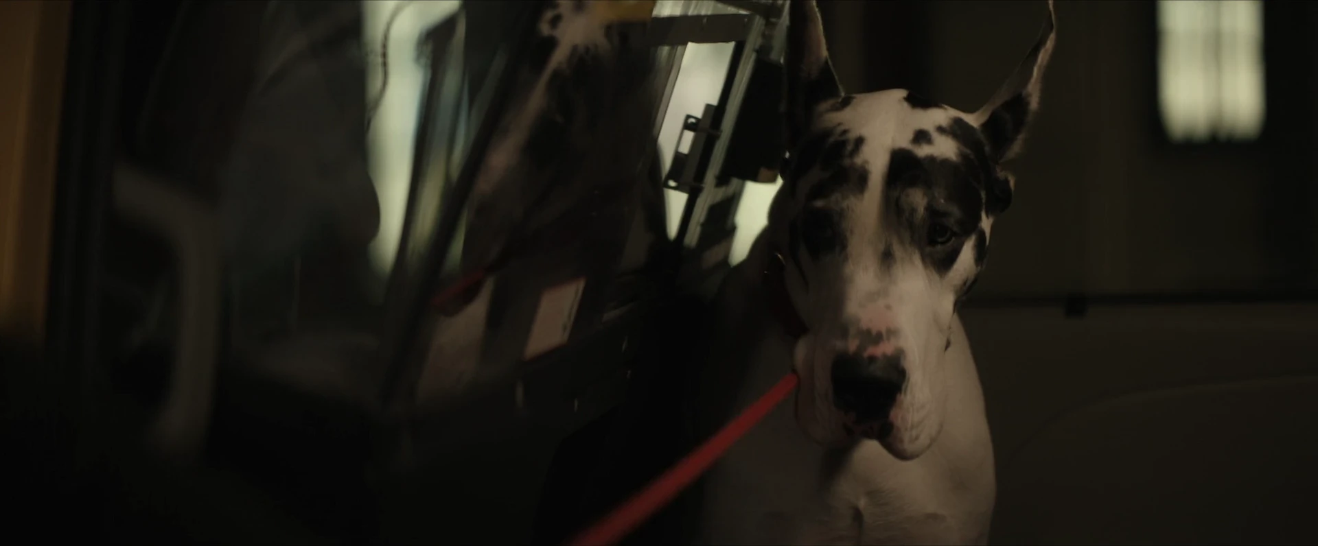 Screenshot 3 - The Friend 2024 Hindi Dual Audio