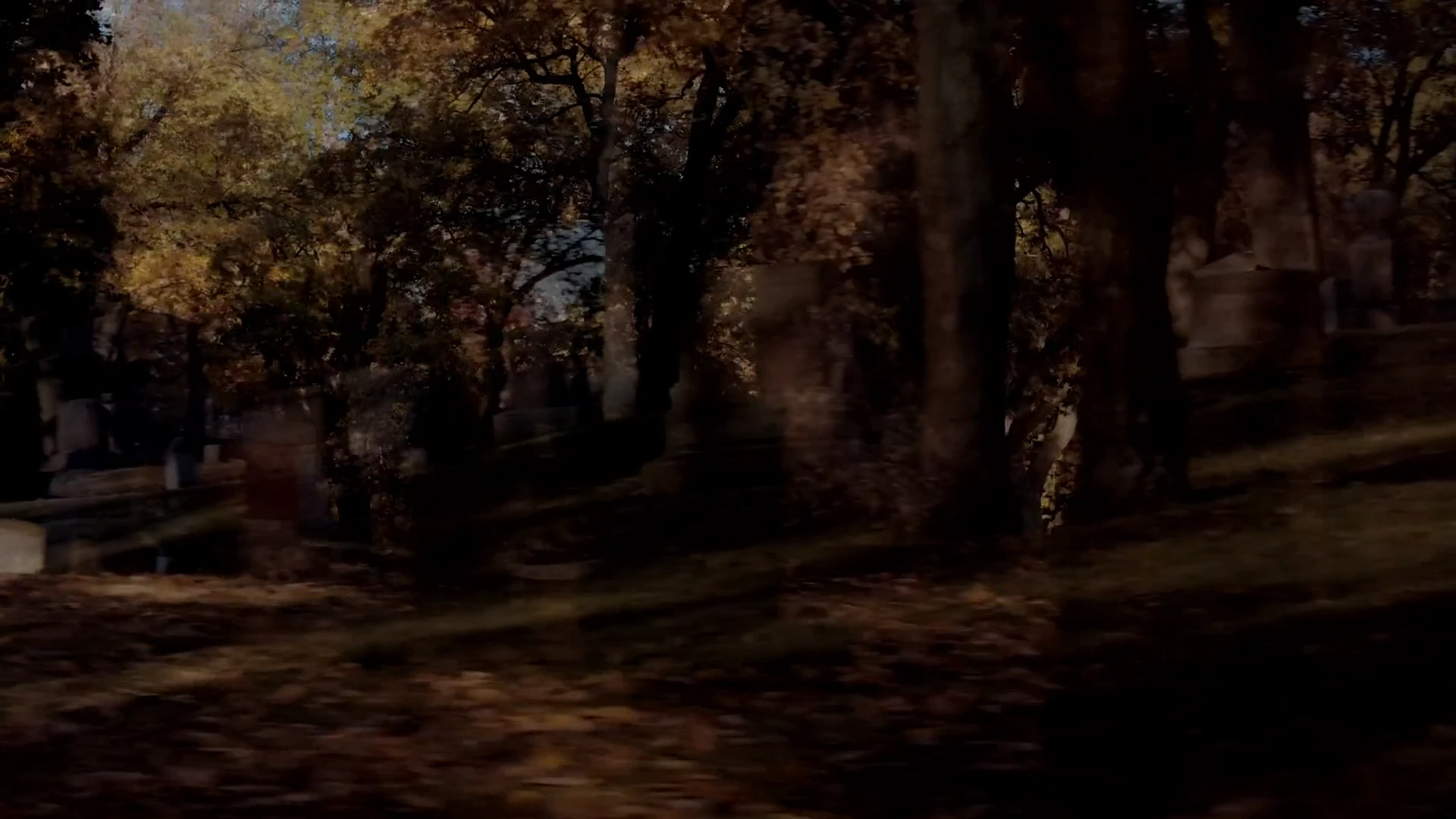 Screenshot 4 - The Haunting of Fringle House 2026 English Audio