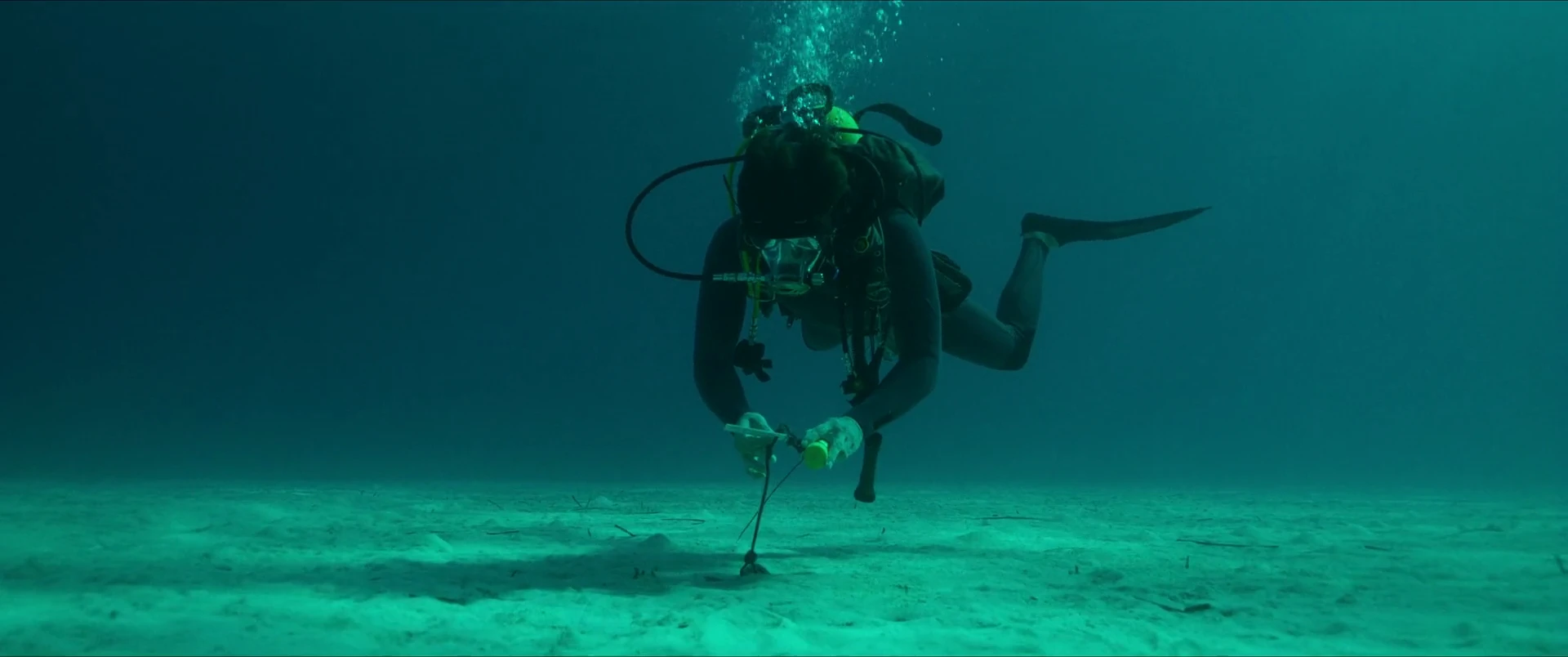 Screenshot 2 - The Last Breath 2024 Hindi Dual Audio