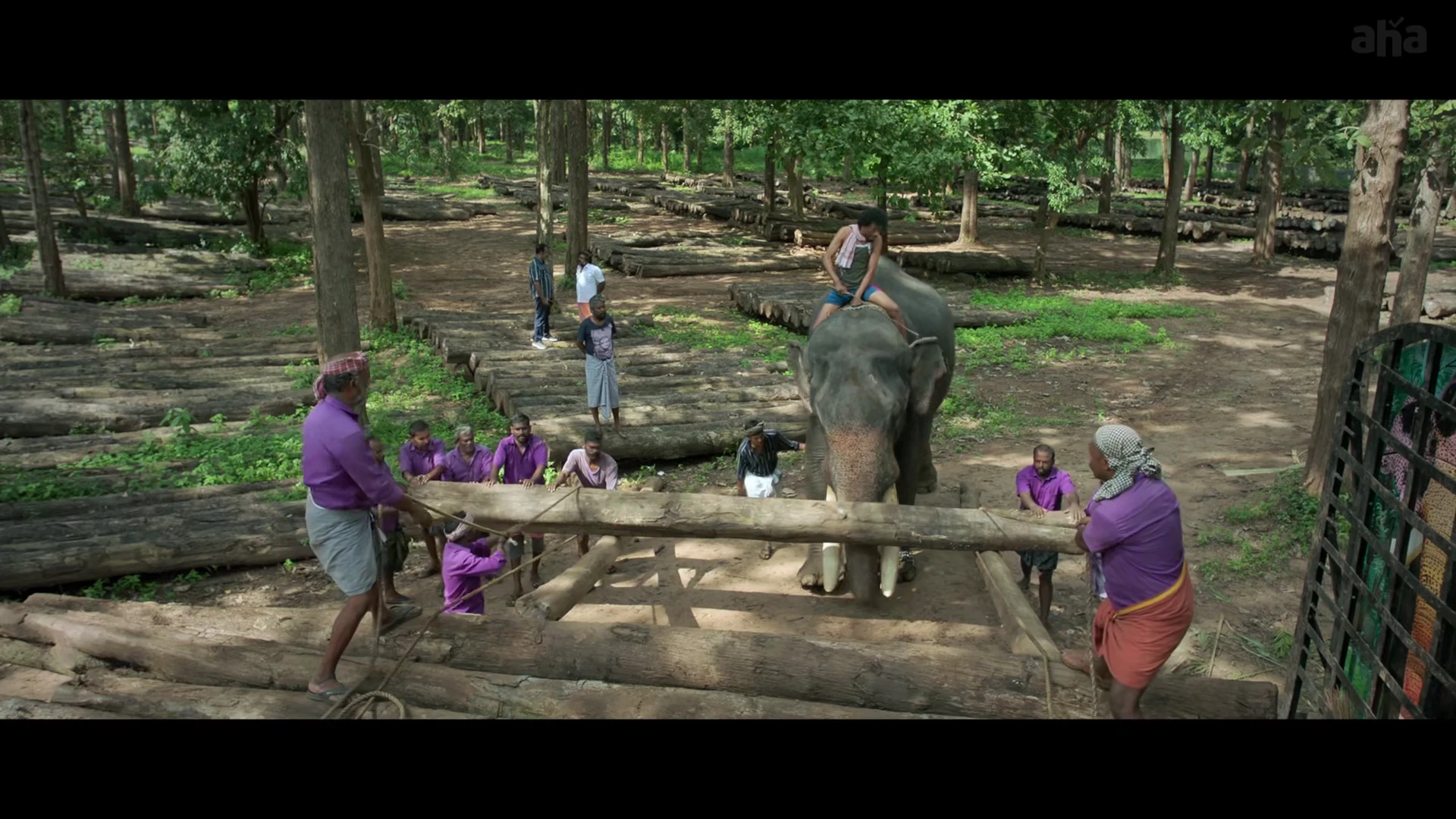 Screenshot 1 - The Yellow Elephant 2026 Tamil Audio