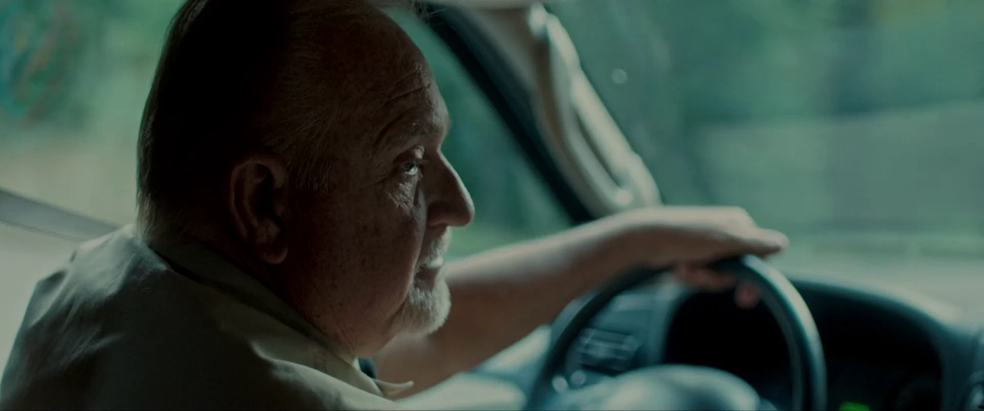Screenshot 5 - Capps Crossing Wrong Side Of Dead 2026 English Audio