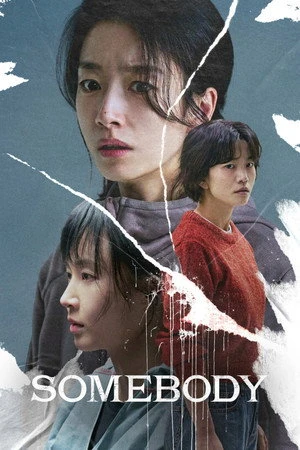 Somebody 2025 Hindi – Korean Dual Audio